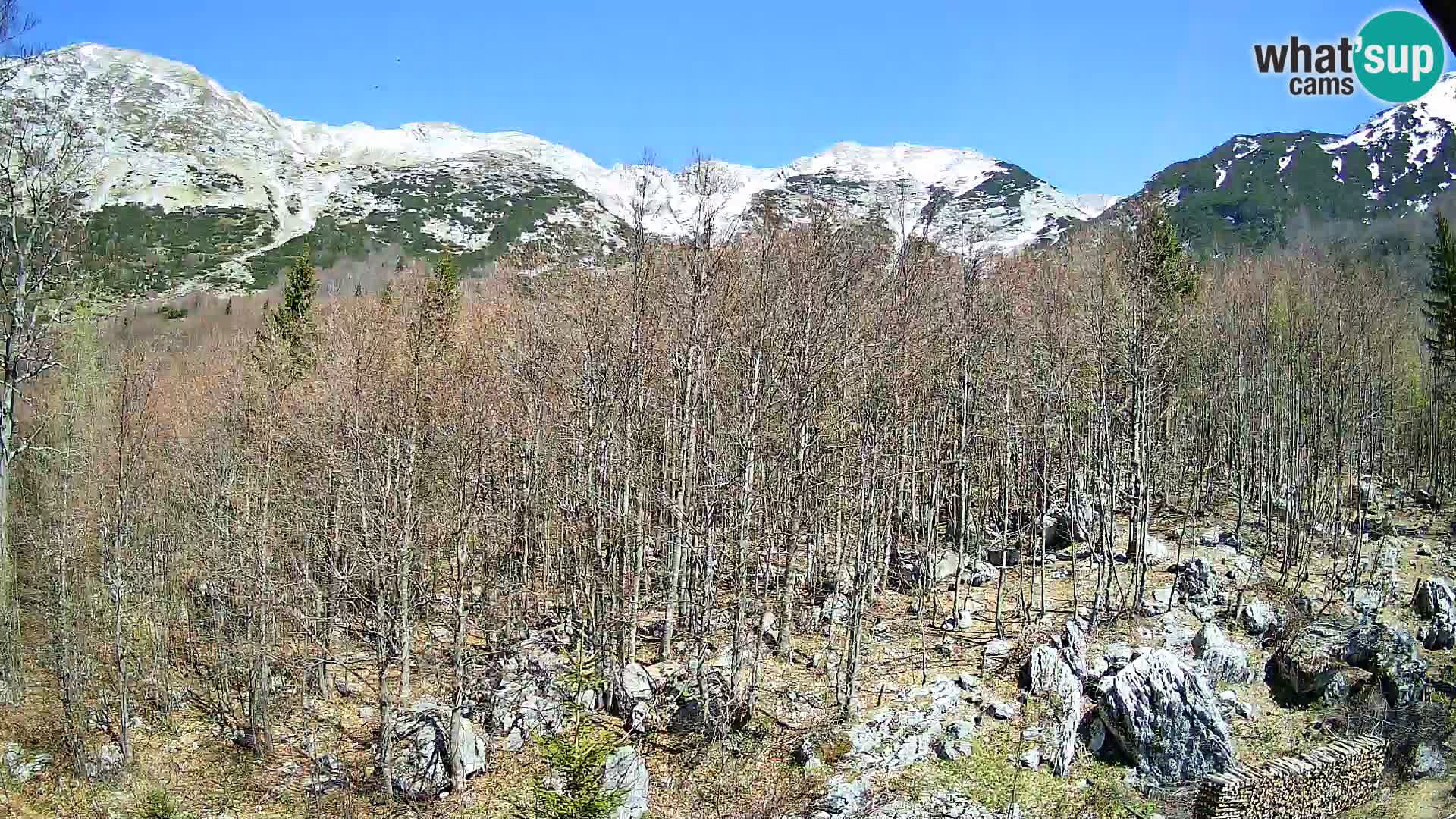 PLANINA RAZOR kamera (1315) | pogled na Vogel in Globoko