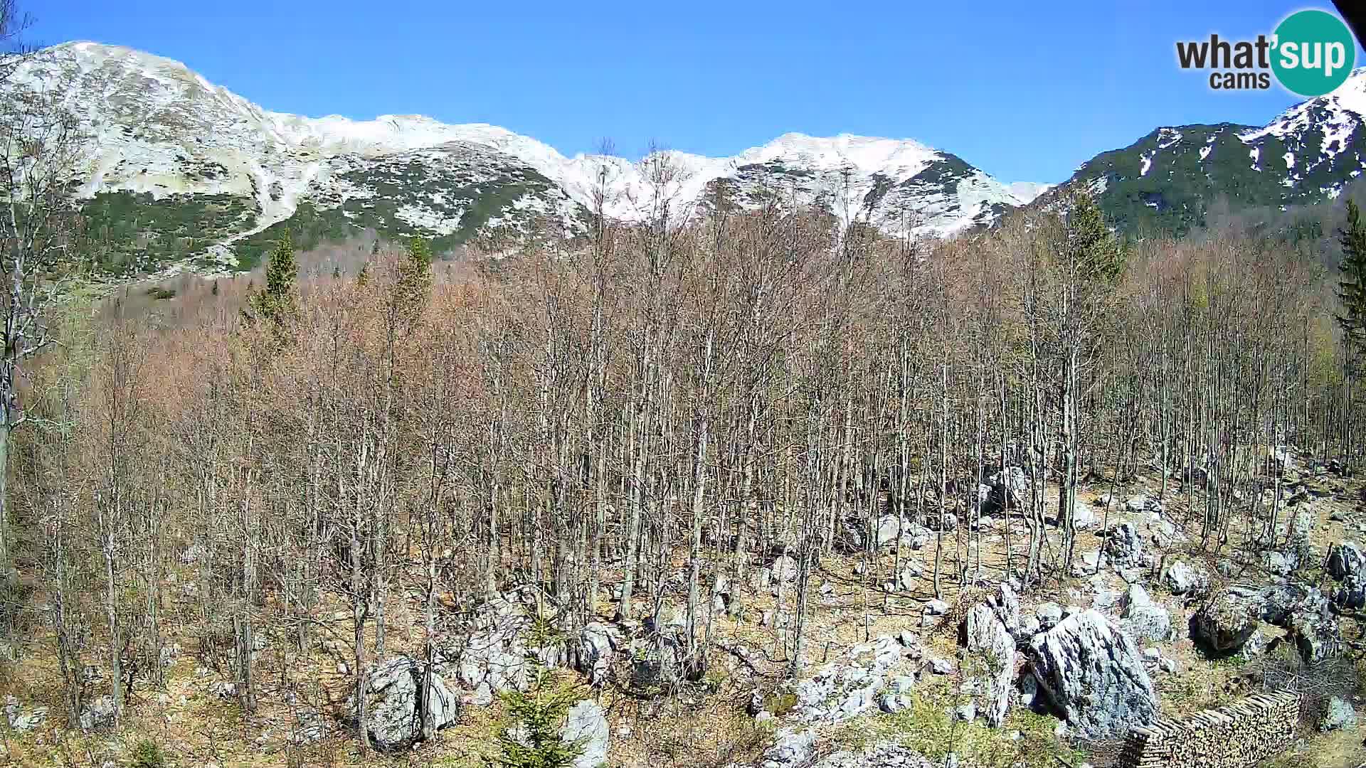 PLANINA RAZOR kamera (1315) | pogled na Vogel in Globoko