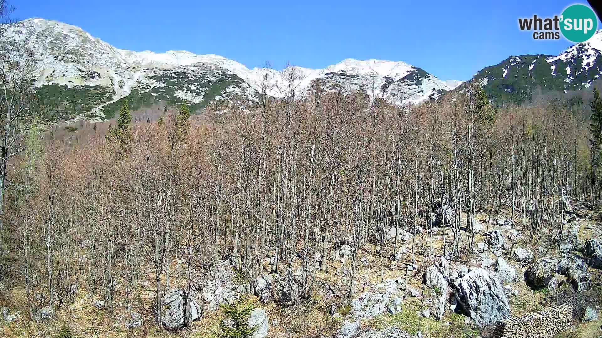 PLANINA RAZOR Live Cam (1315) | vista su Vogel e Globoko