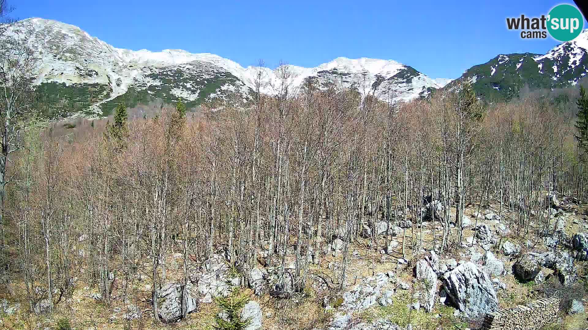 Cámara web PLANINA RAZOR (1315) | vista a Vogel y Globoko