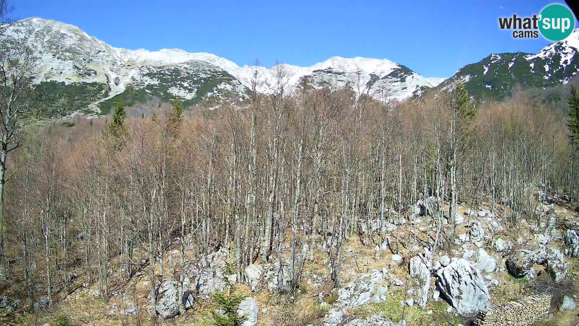 PLANINA RAZOR kamera (1315) | pogled na Vogel in Globoko