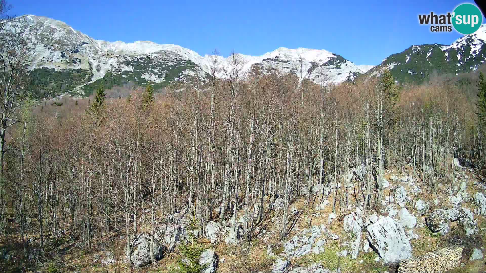 PLANINA RAZOR webcam (1315) | view to Vogel and Globoko
