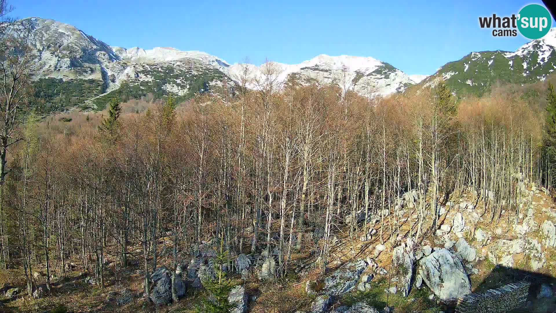 Livecam PLANINA RAZOR (1315) | vue sur Vogel et Globoko