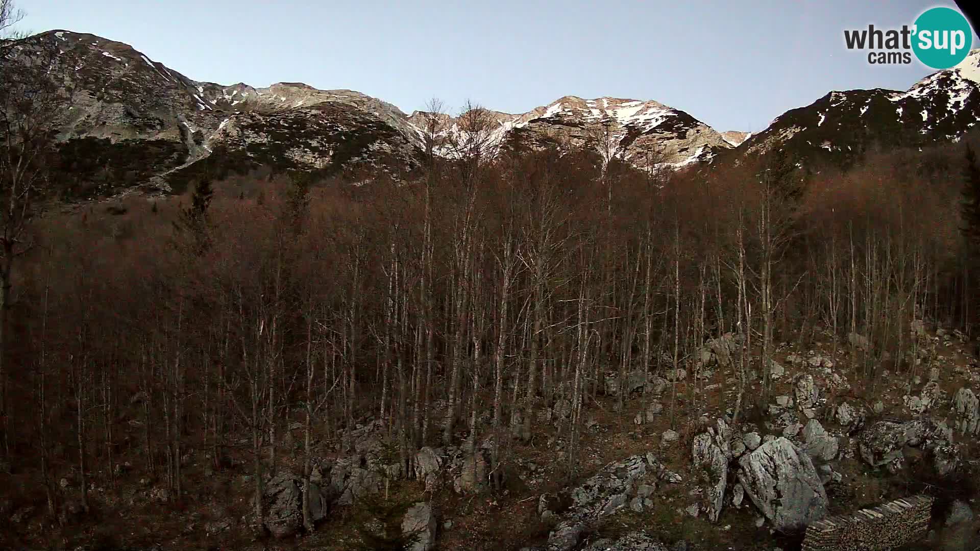 PLANINA RAZOR webcam (1315) | view to Vogel and Globoko