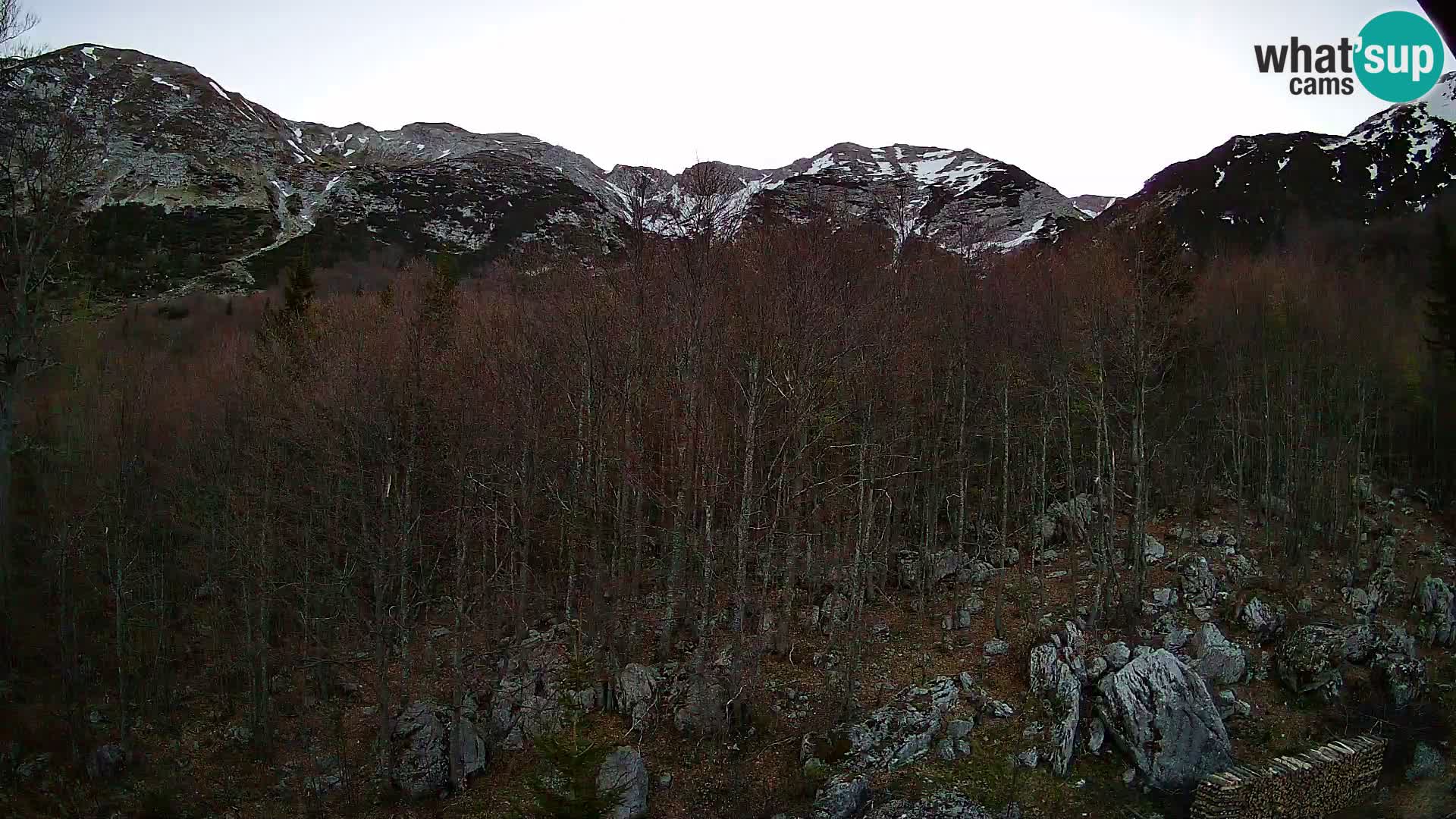 PLANINA RAZOR Live Cam (1315) | vista su Vogel e Globoko