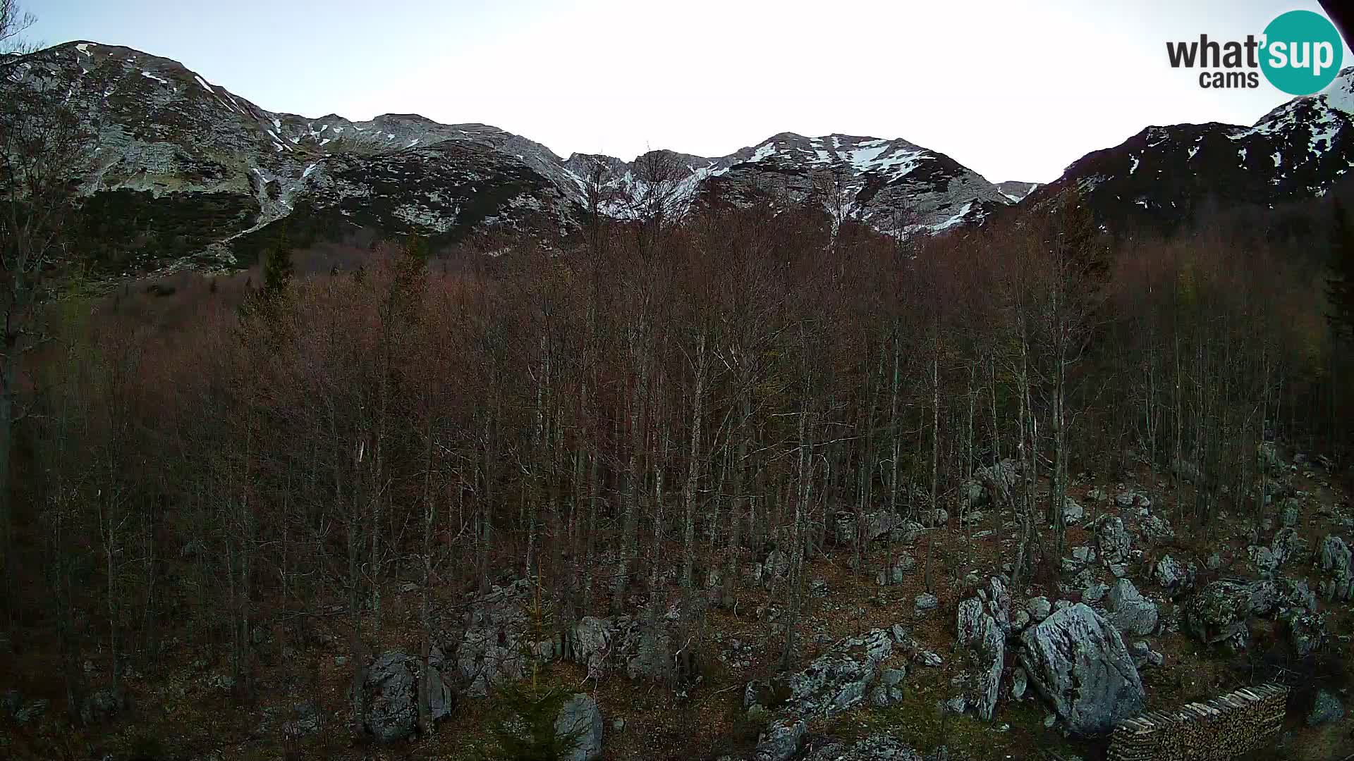 PLANINA RAZOR webcam (1315) | view to Vogel and Globoko