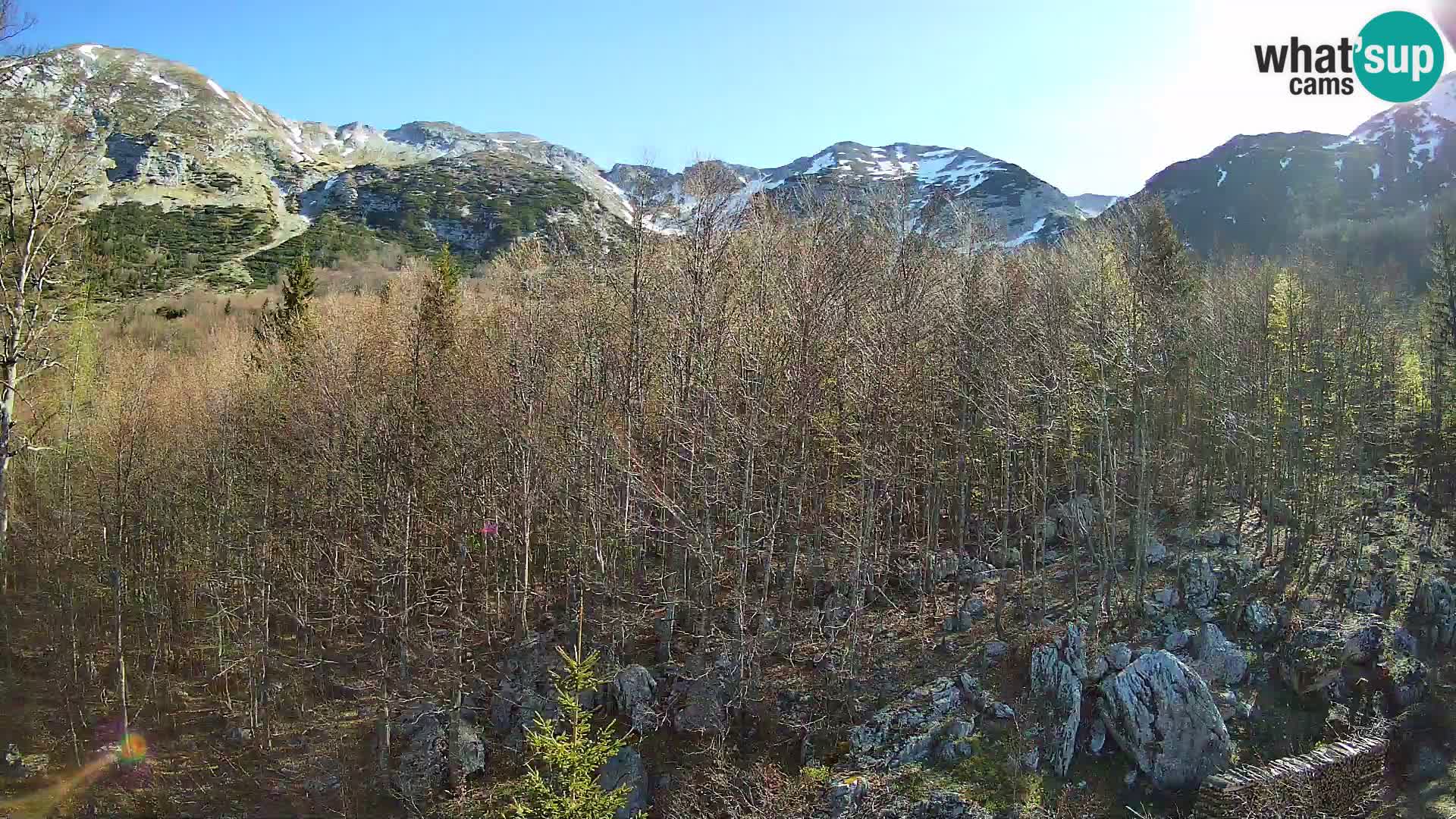 PLANINA RAZOR web kamera (1315) | pogled na Vogel i Globoko