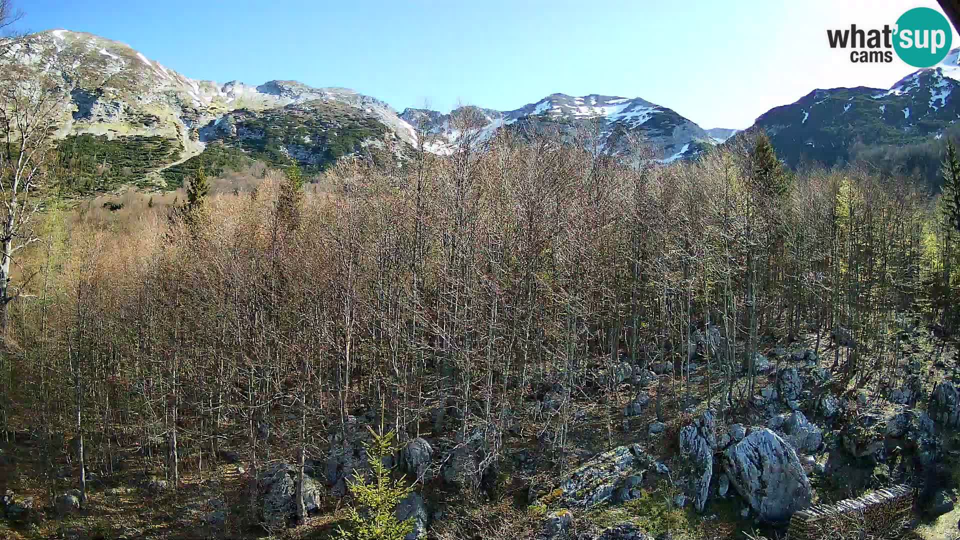 Webcam PLANINA RAZOR (1315) | Blick auf Vogel und Globoko