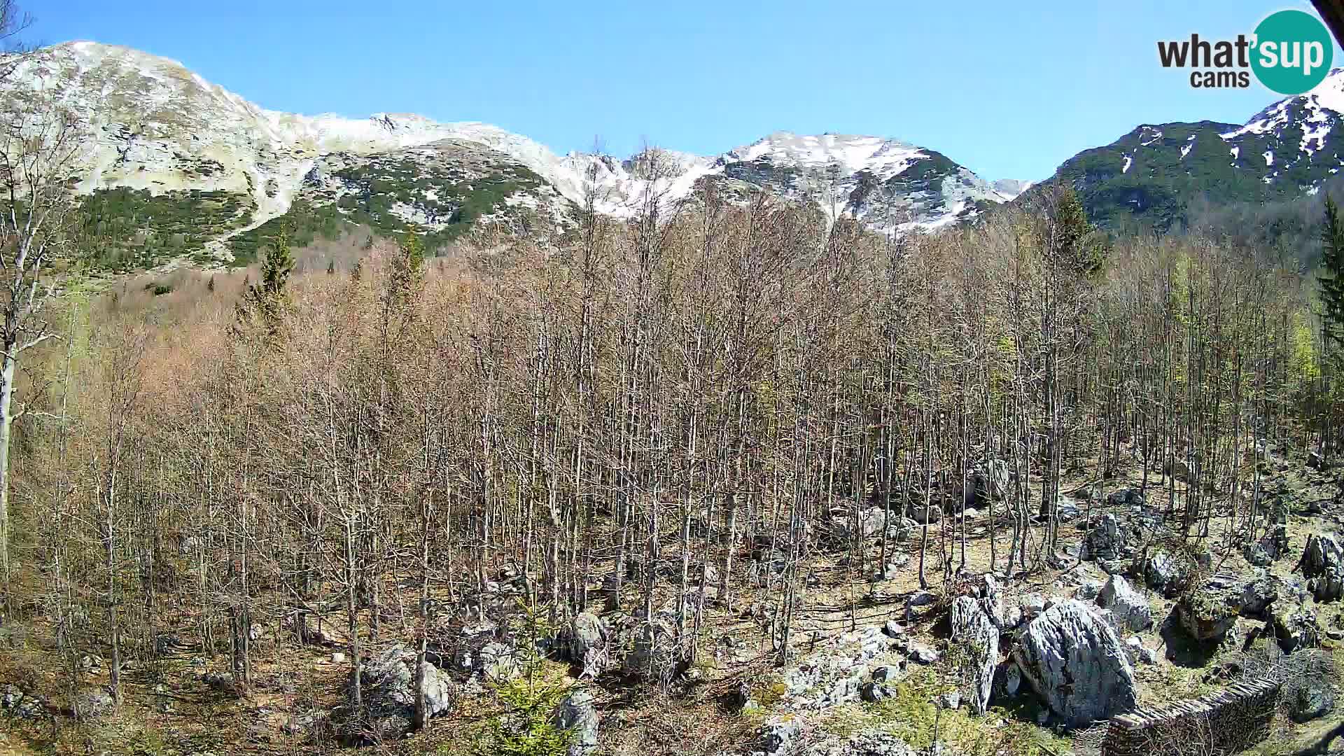 Cámara web PLANINA RAZOR (1315) | vista a Vogel y Globoko