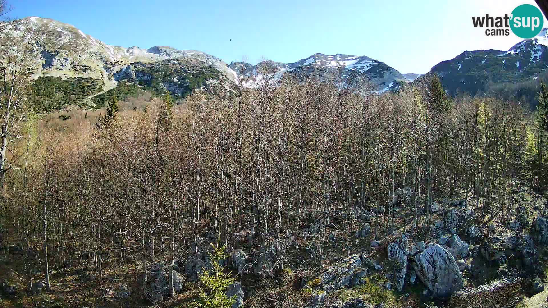 Webcam PLANINA RAZOR (1315) | Blick auf Vogel und Globoko