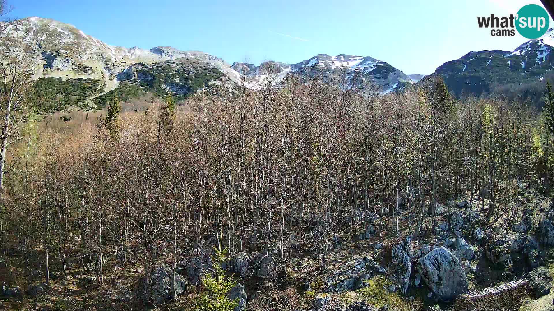 PLANINA RAZOR kamera (1315) | pogled na Vogel in Globoko