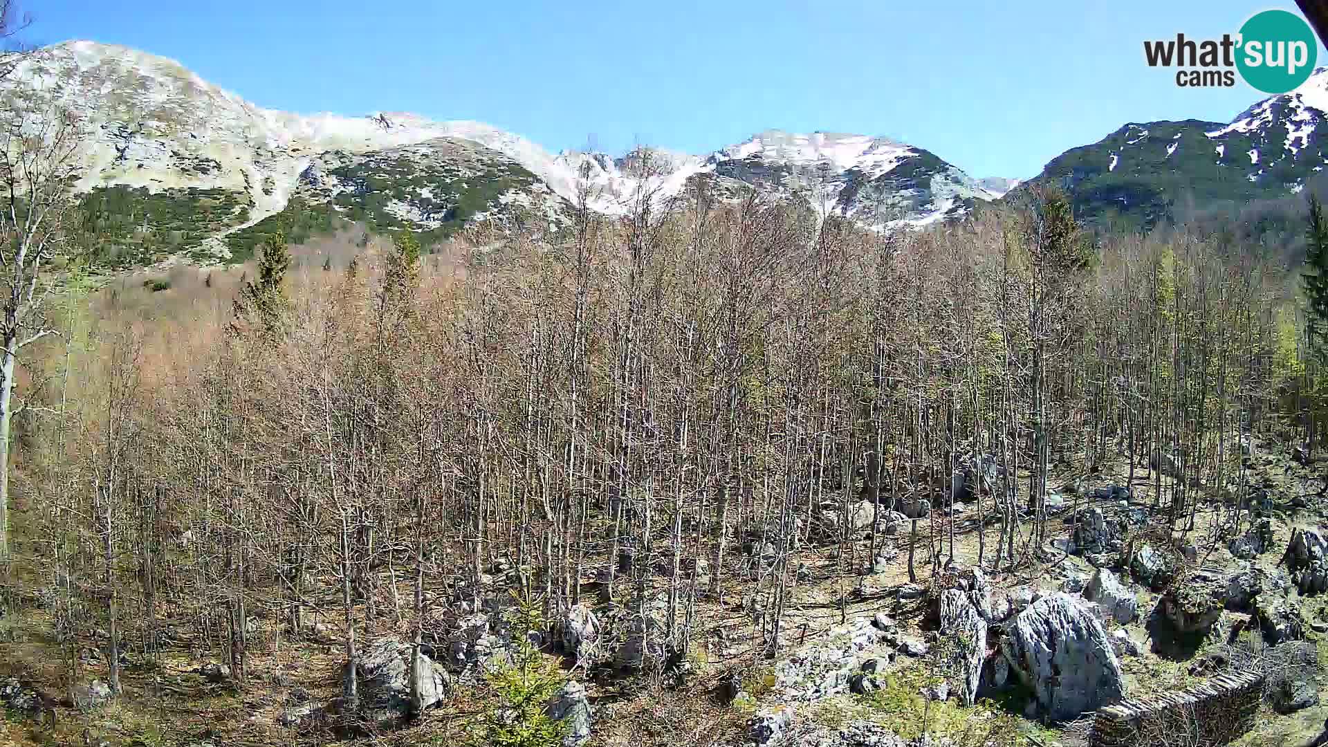 Livecam PLANINA RAZOR (1315) | vue sur Vogel et Globoko