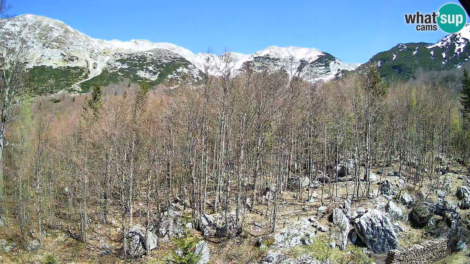 PLANINA RAZOR kamera (1315) | pogled na Vogel in Globoko