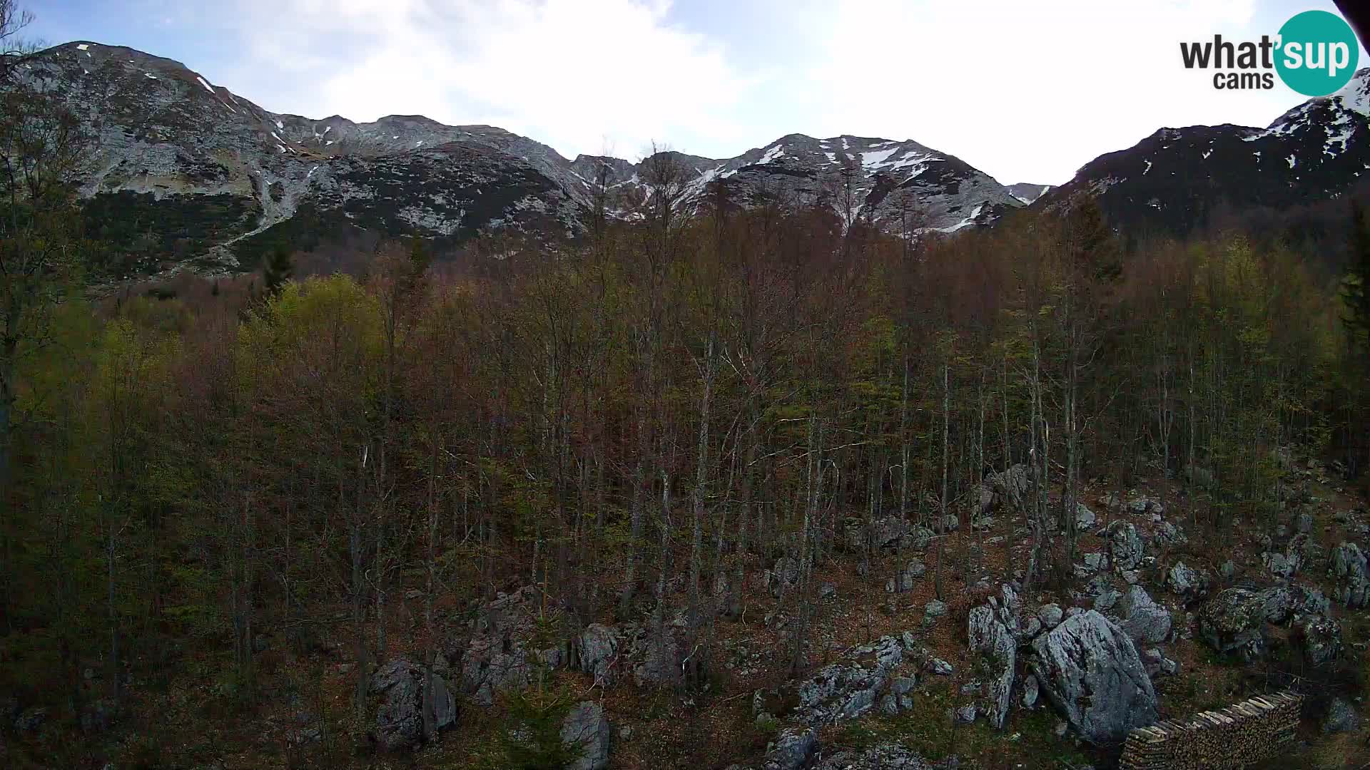 Webcam PLANINA RAZOR (1315) | Blick auf Vogel und Globoko