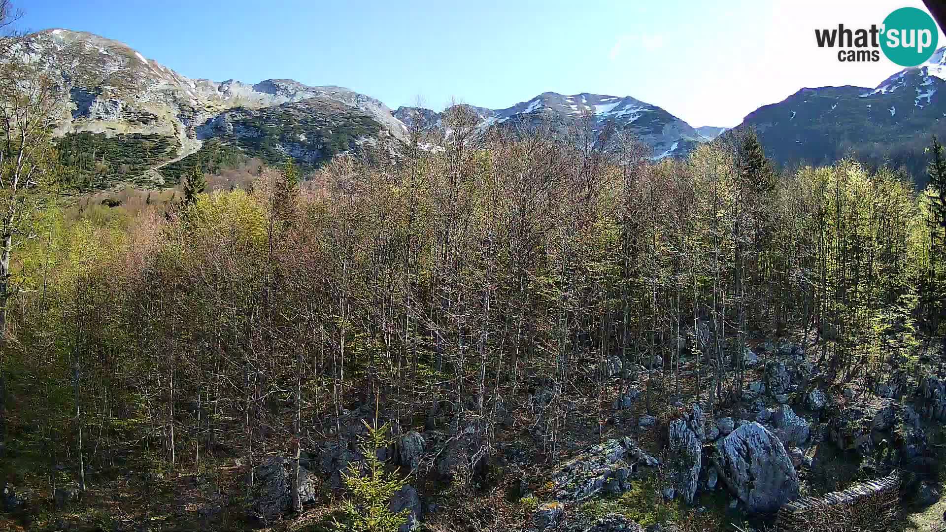 Webcam PLANINA RAZOR (1315) | Blick auf Vogel und Globoko