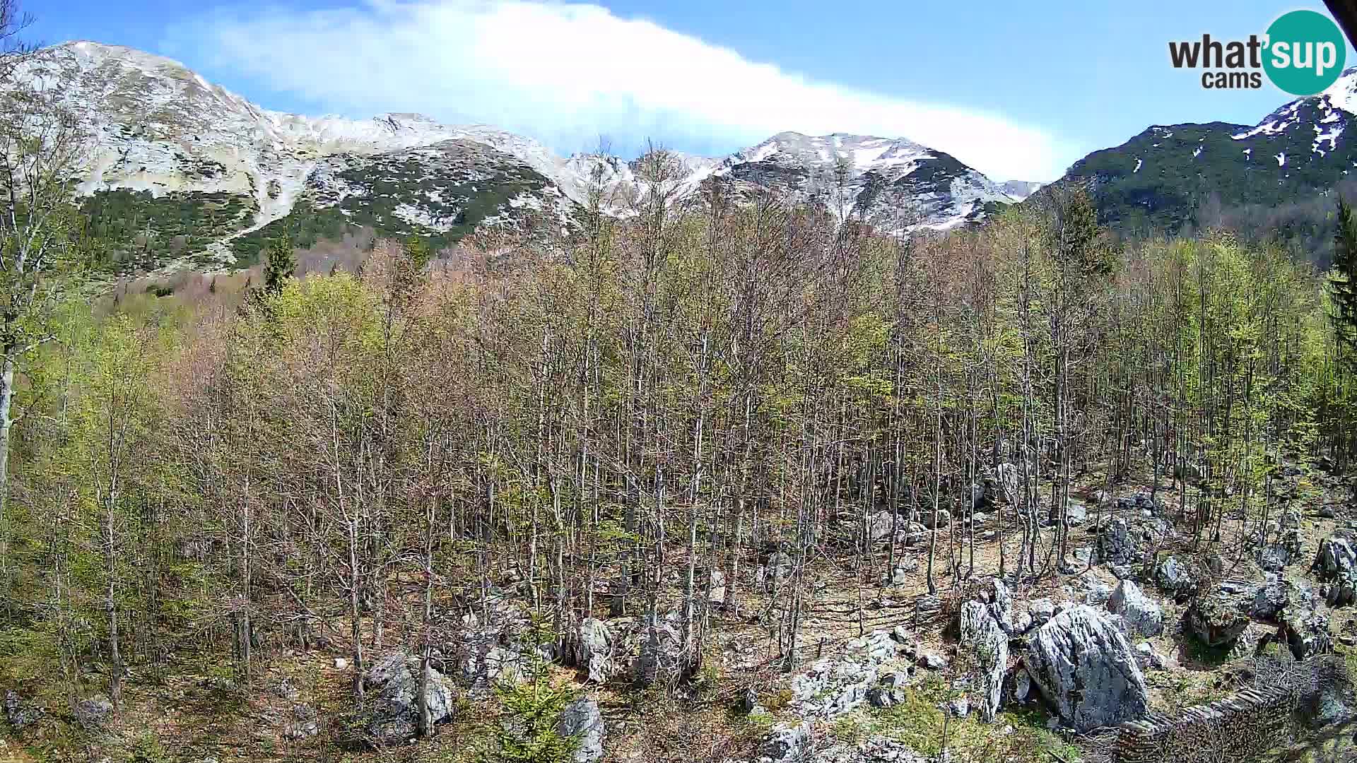 Webcam PLANINA RAZOR (1315) | Blick auf Vogel und Globoko