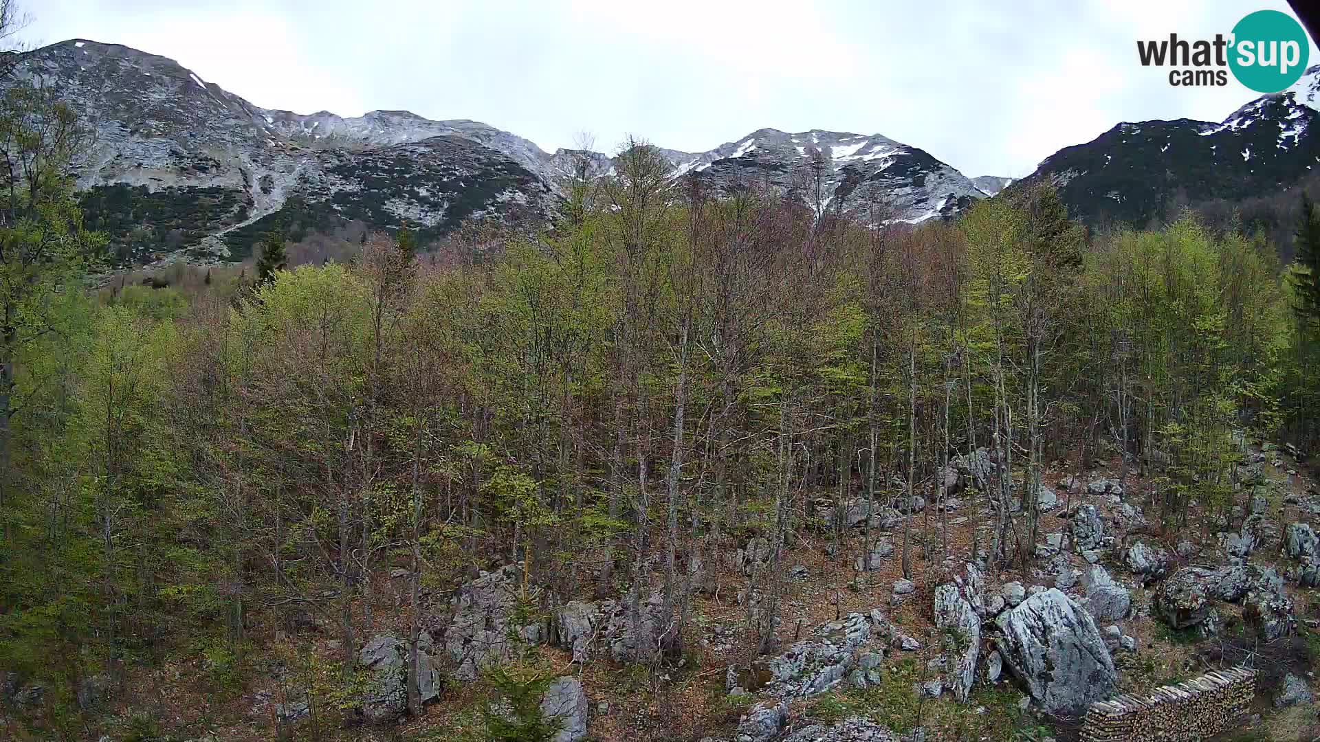 PLANINA RAZOR webcam (1315) | view to Vogel and Globoko
