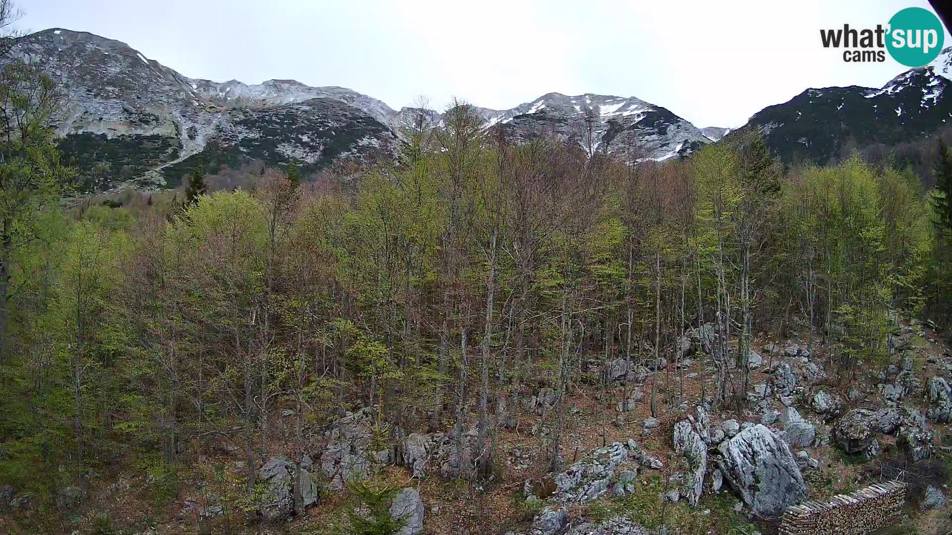 PLANINA RAZOR webcam (1315) | view to Vogel and Globoko