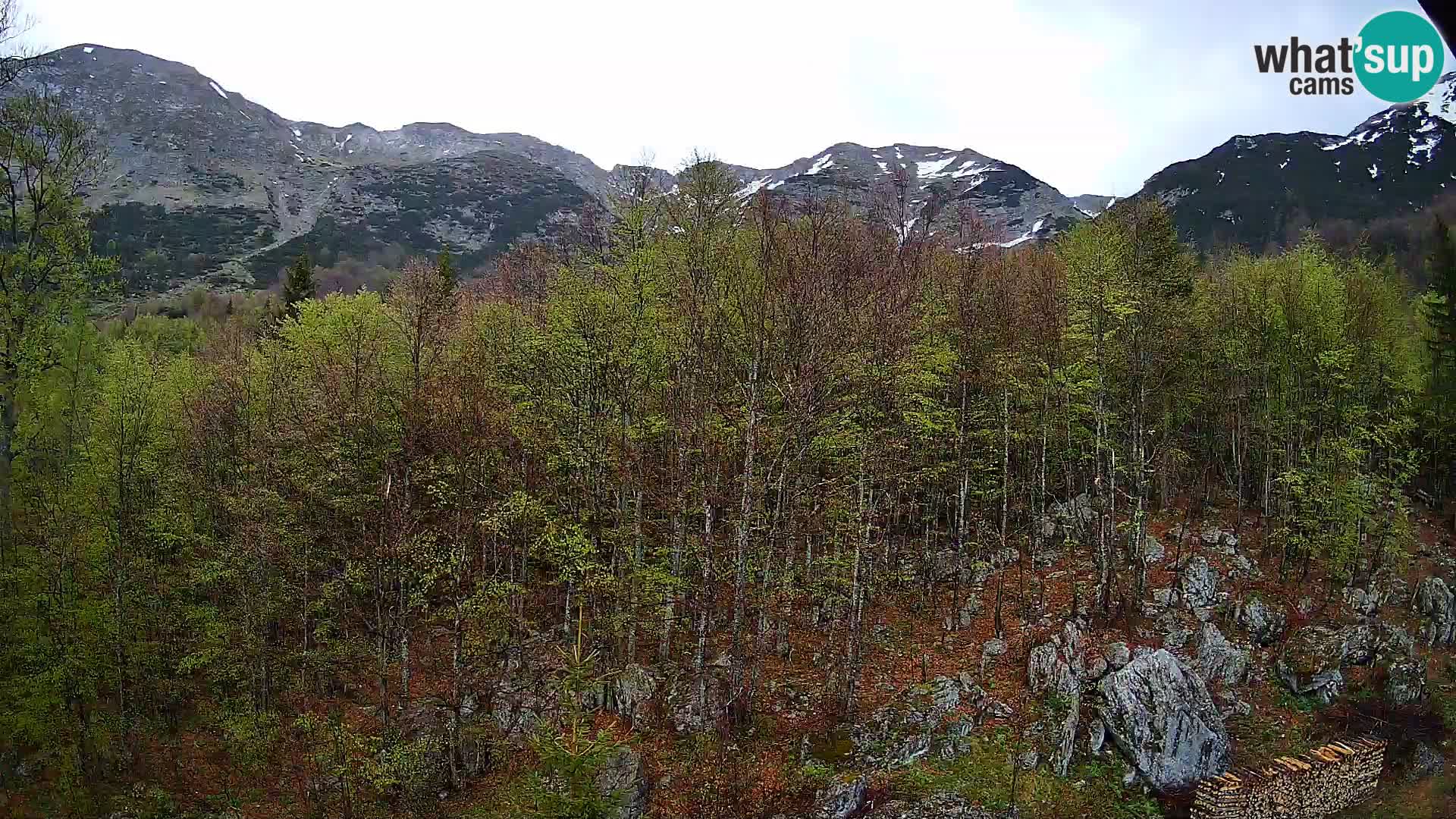 PLANINA RAZOR Live Cam (1315) | vista su Vogel e Globoko