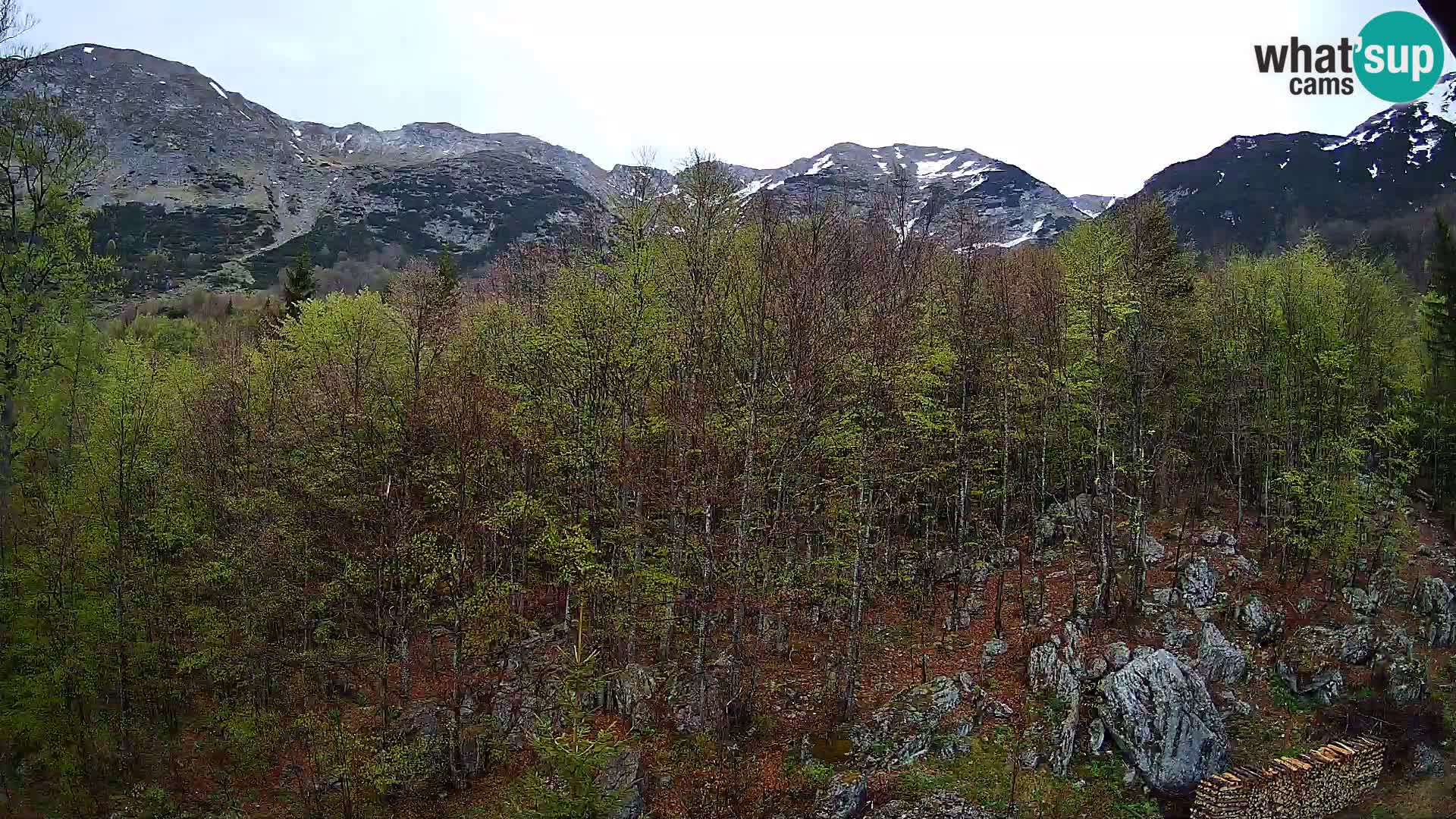 Livecam PLANINA RAZOR (1315) | vue sur Vogel et Globoko