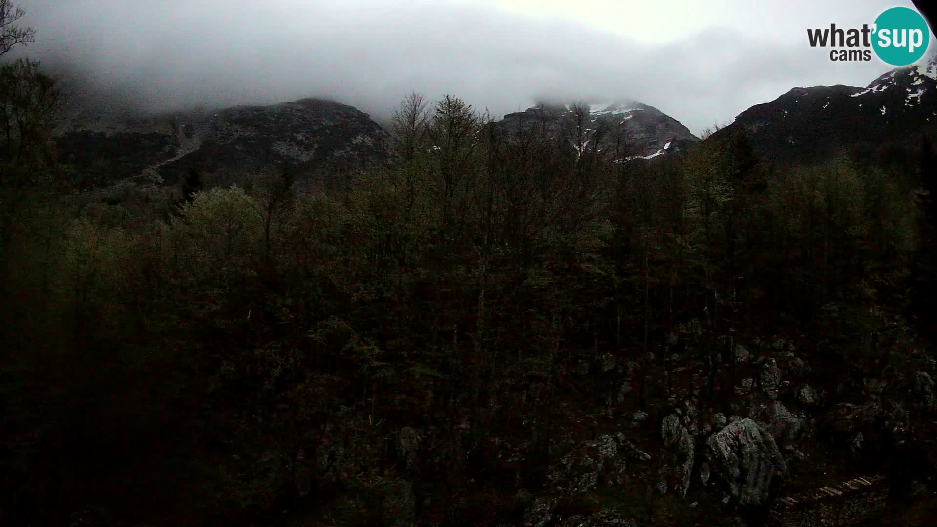 Cámara web PLANINA RAZOR (1315) | vista a Vogel y Globoko