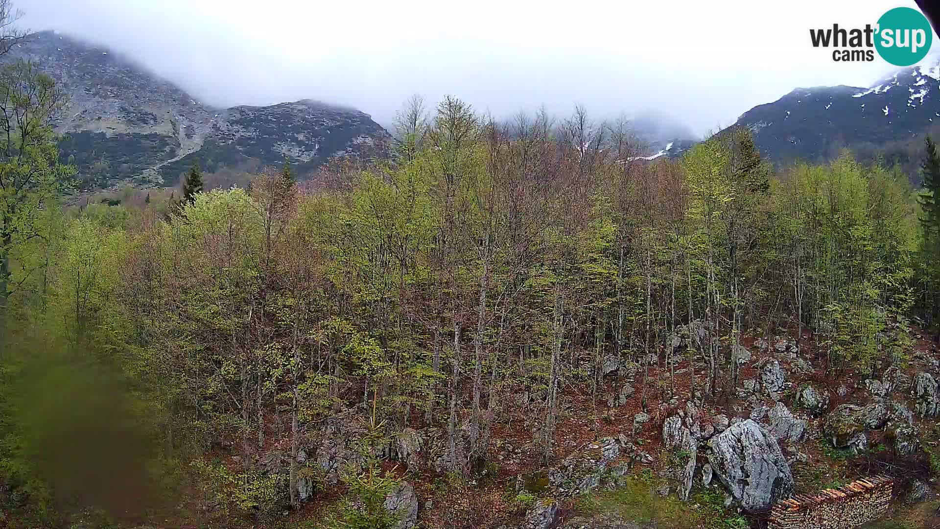 Livecam PLANINA RAZOR (1315) | vue sur Vogel et Globoko