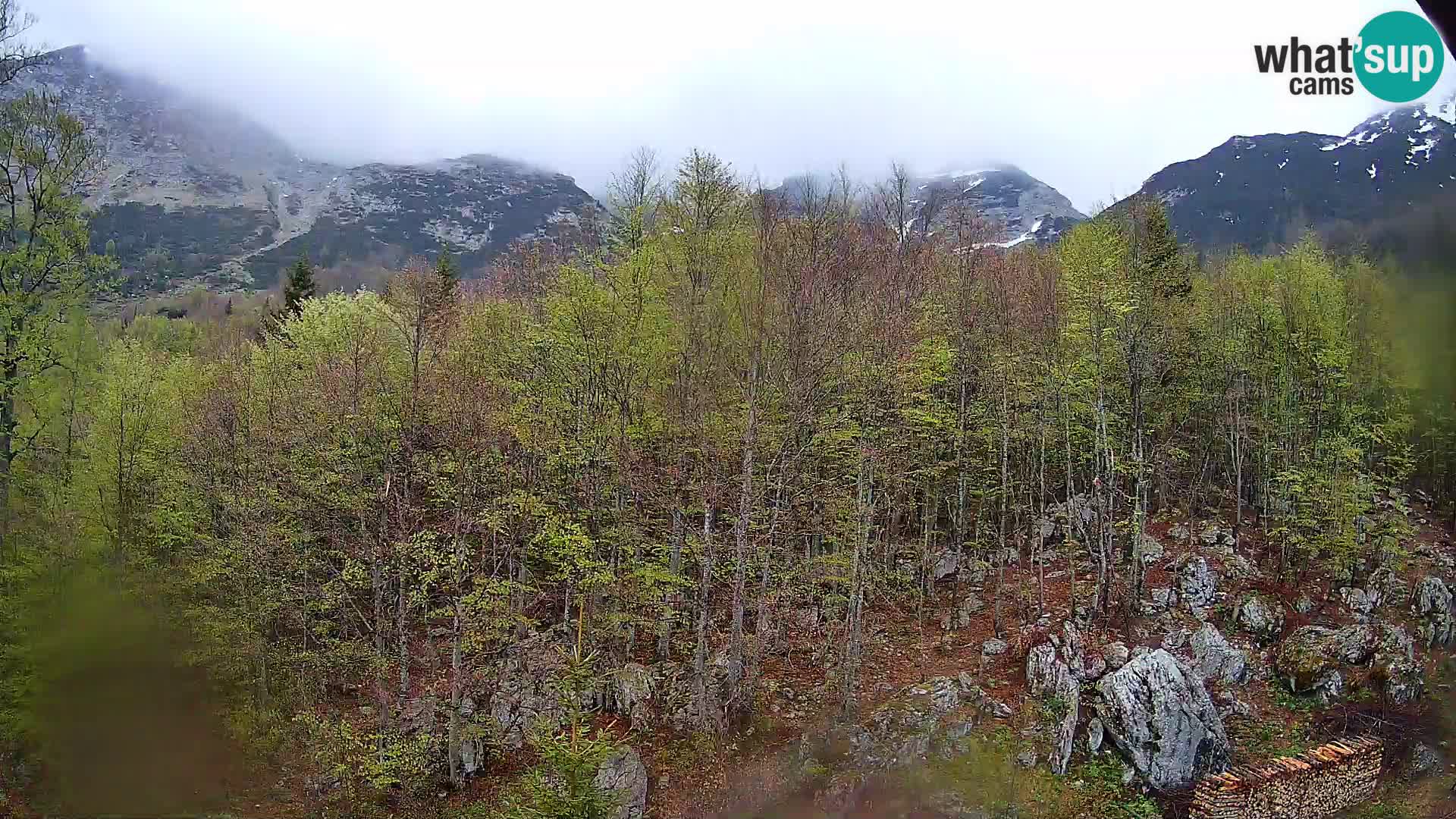 PLANINA RAZOR kamera (1315) | pogled na Vogel in Globoko