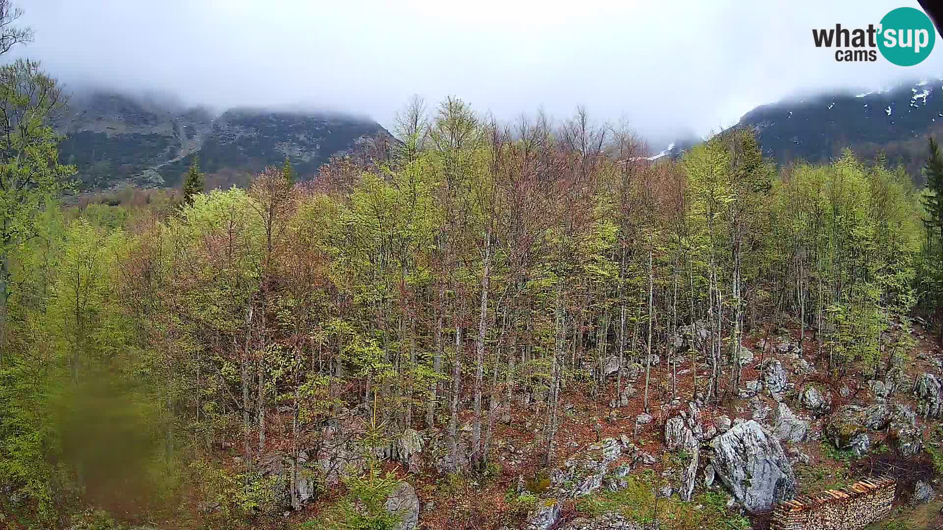 Webcam PLANINA RAZOR (1315) | Blick auf Vogel und Globoko