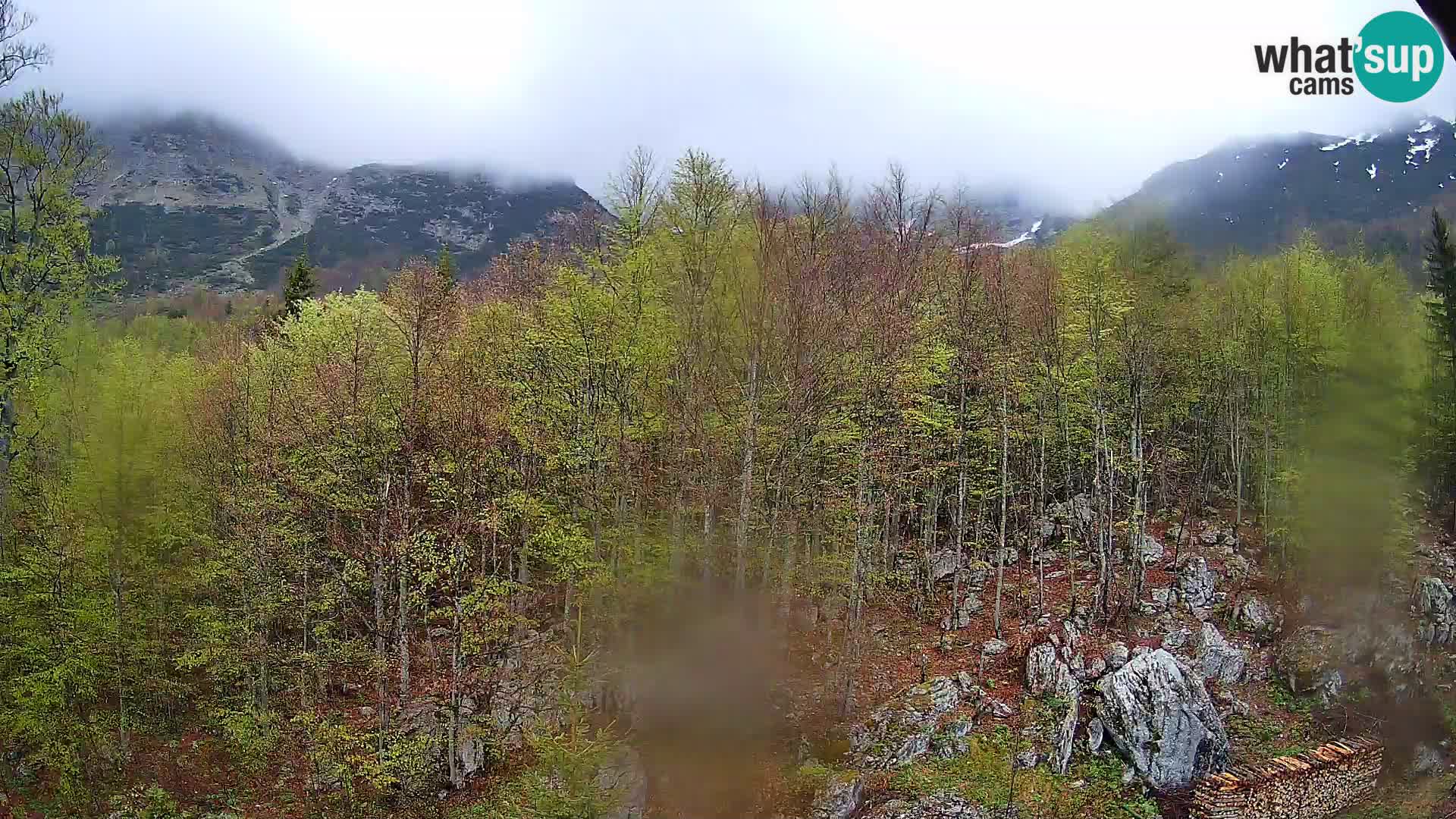 PLANINA RAZOR kamera (1315) | pogled na Vogel in Globoko