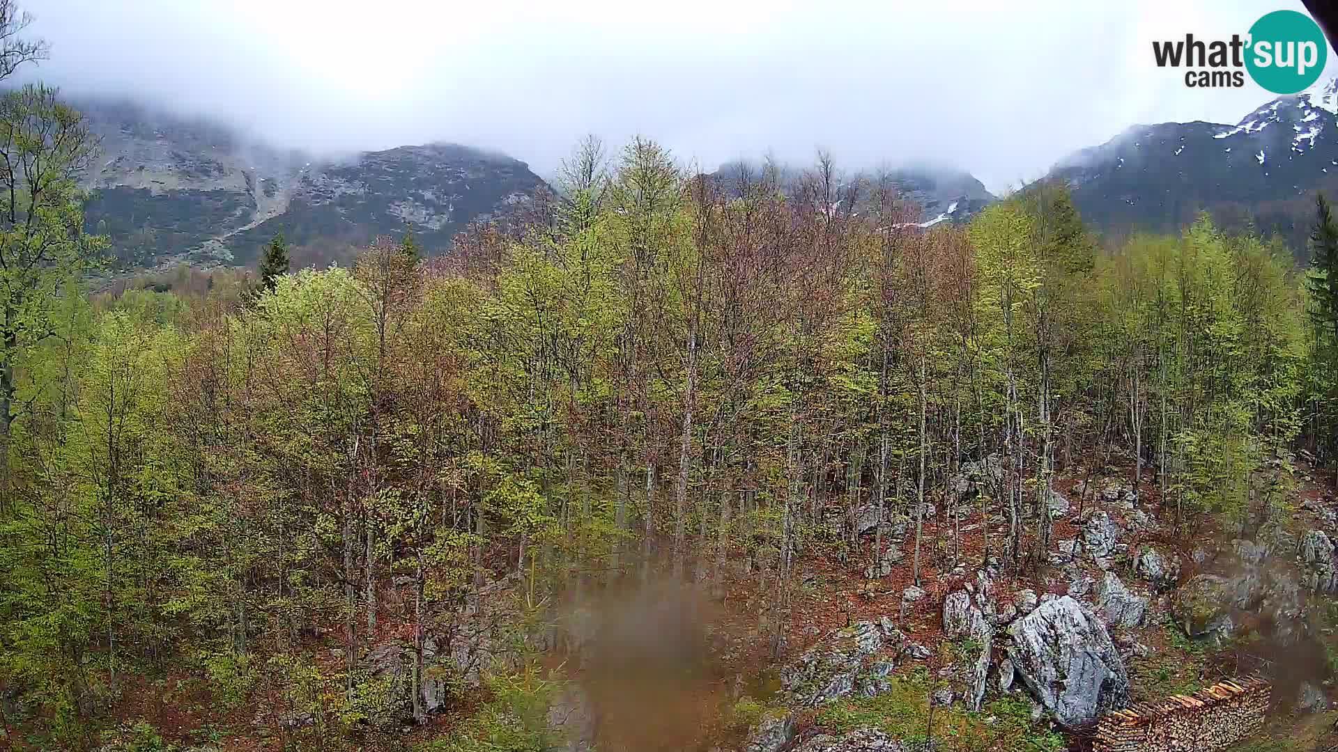 PLANINA RAZOR kamera (1315) | pogled na Vogel in Globoko
