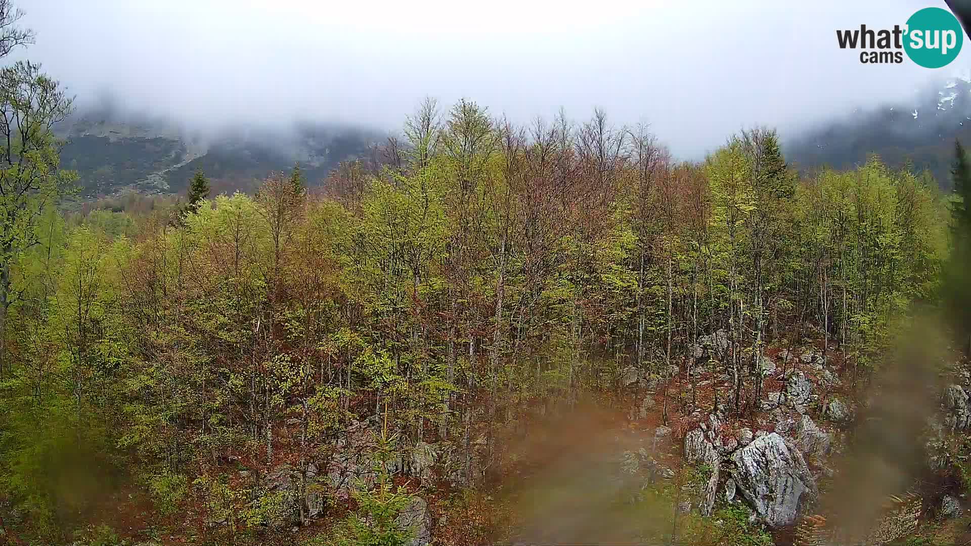 PLANINA RAZOR webcam (1315) | view to Vogel and Globoko