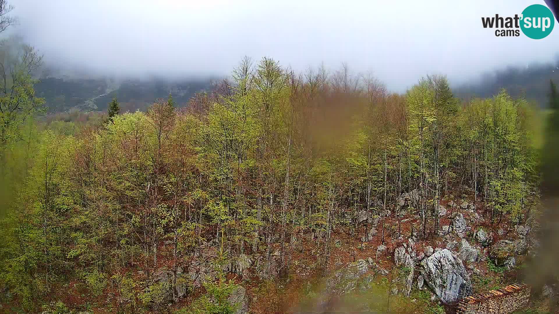 PLANINA RAZOR kamera (1315) | pogled na Vogel in Globoko