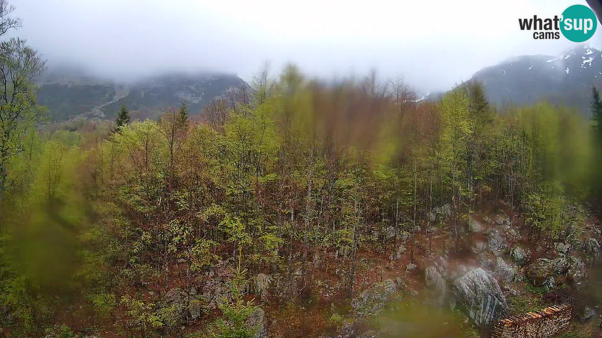 Webcam PLANINA RAZOR (1315) | Blick auf Vogel und Globoko
