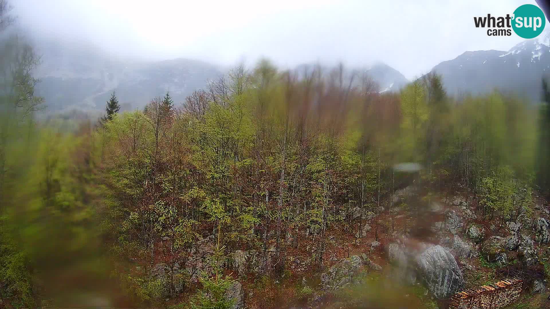 PLANINA RAZOR web kamera (1315) | pogled na Vogel i Globoko