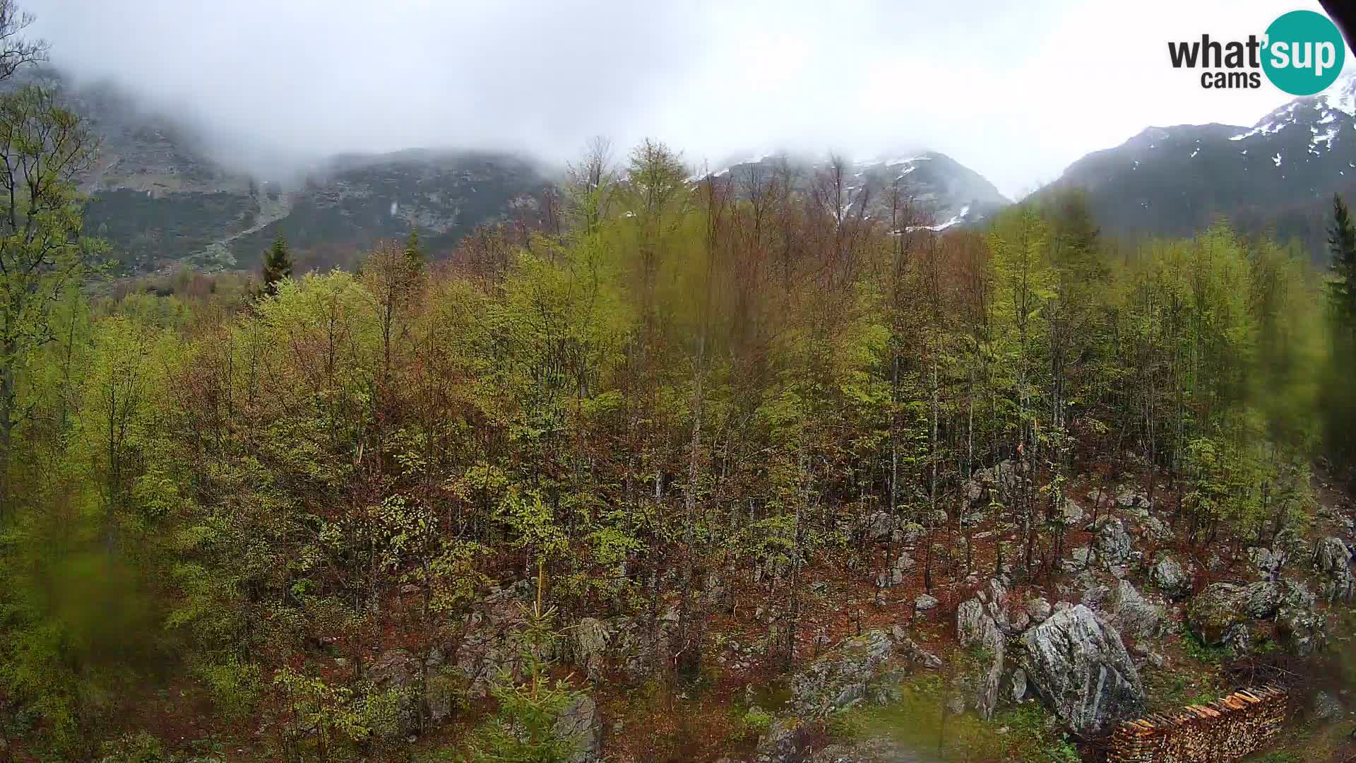 PLANINA RAZOR web kamera (1315) | pogled na Vogel i Globoko
