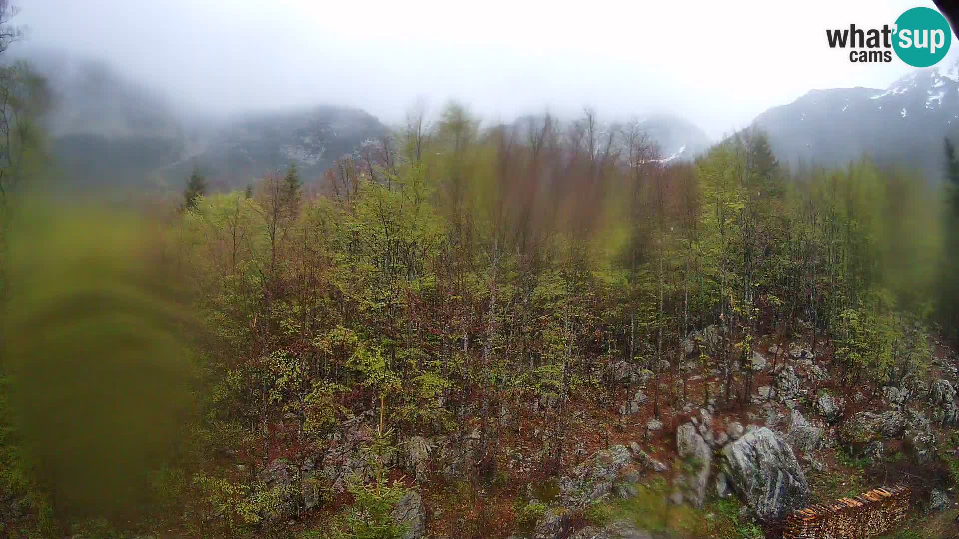 Cámara web PLANINA RAZOR (1315) | vista a Vogel y Globoko