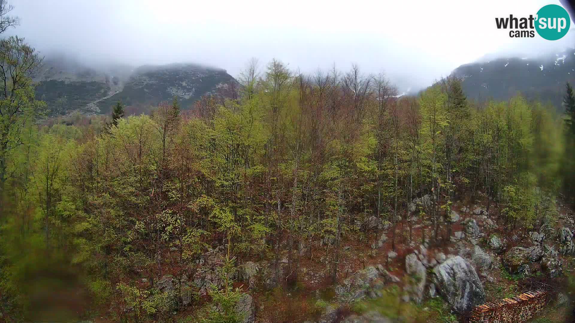 Livecam PLANINA RAZOR (1315) | vue sur Vogel et Globoko