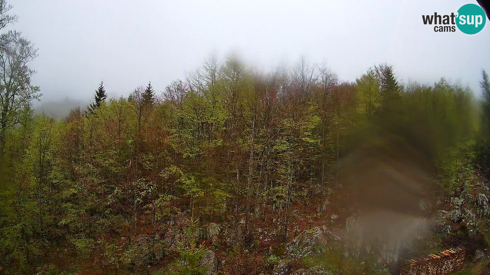 Livecam PLANINA RAZOR (1315) | vue sur Vogel et Globoko