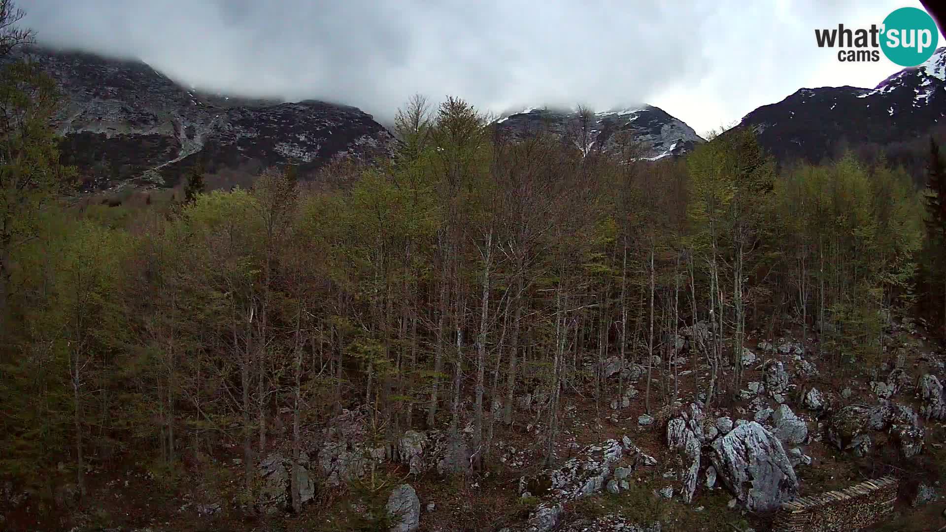 PLANINA RAZOR web kamera (1315) | pogled na Vogel i Globoko