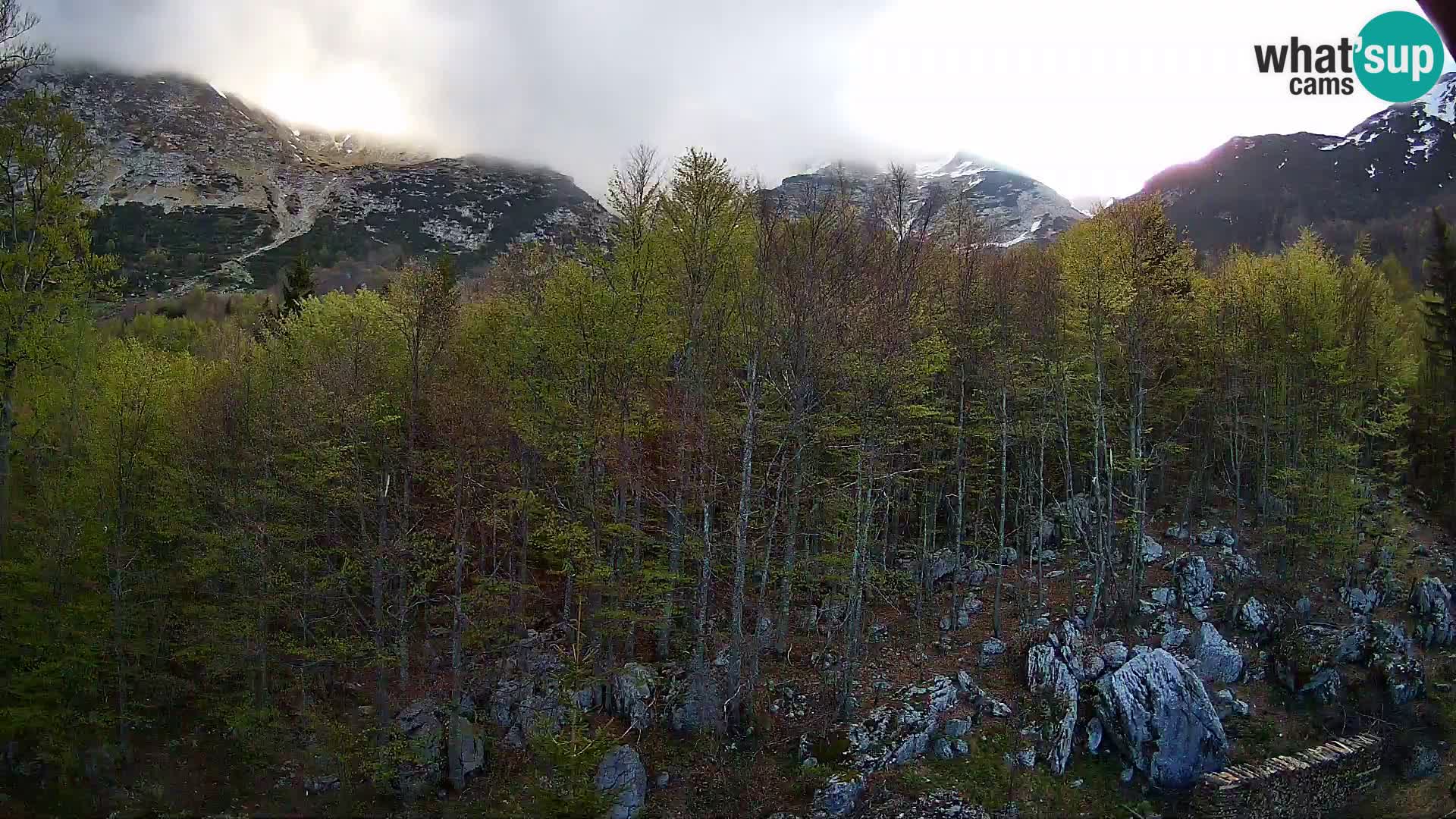 PLANINA RAZOR webcam (1315) | view to Vogel and Globoko