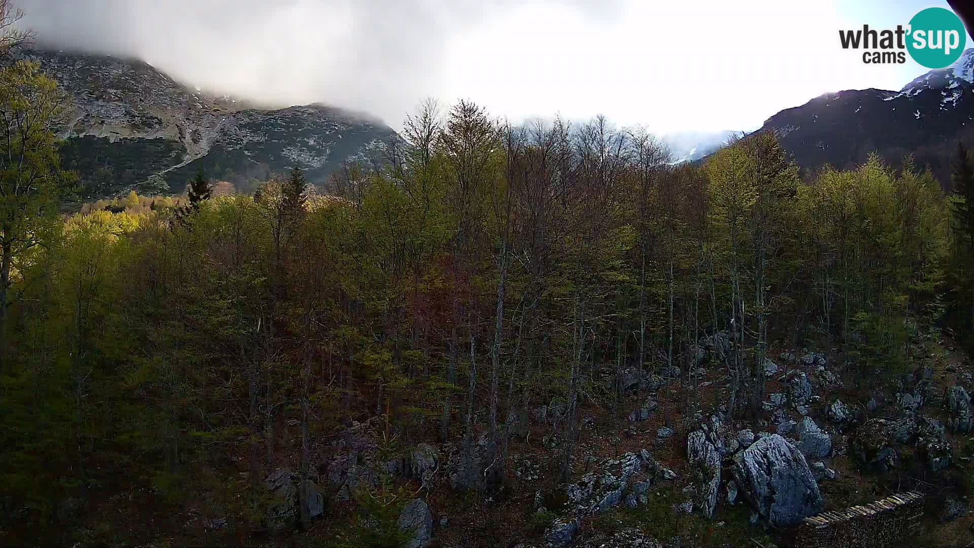 PLANINA RAZOR Live Cam (1315) | vista su Vogel e Globoko