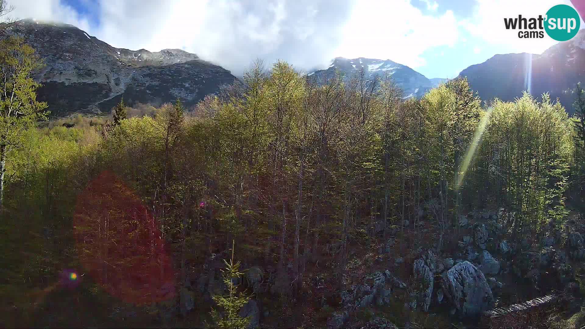 Cámara web PLANINA RAZOR (1315) | vista a Vogel y Globoko