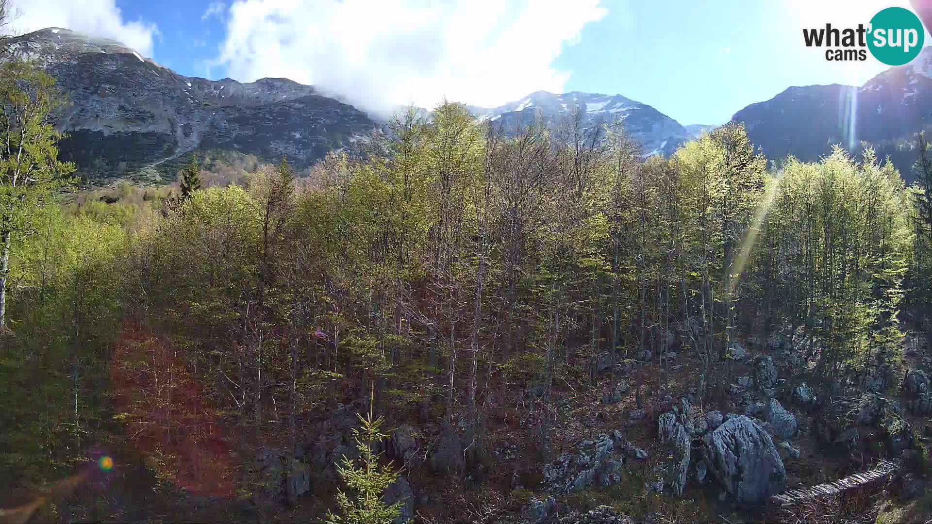 PLANINA RAZOR webcam (1315) | view to Vogel and Globoko