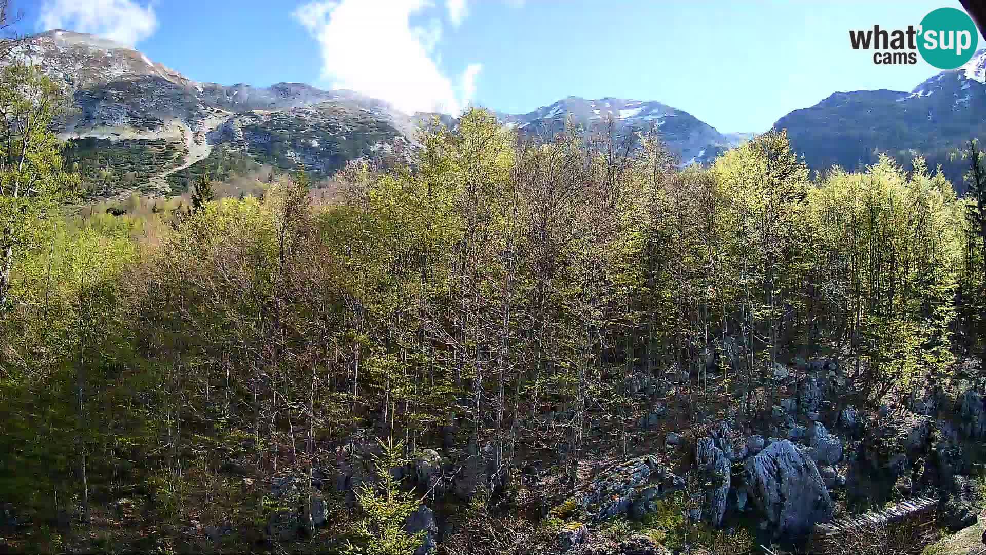 Webcam PLANINA RAZOR (1315) | Blick auf Vogel und Globoko