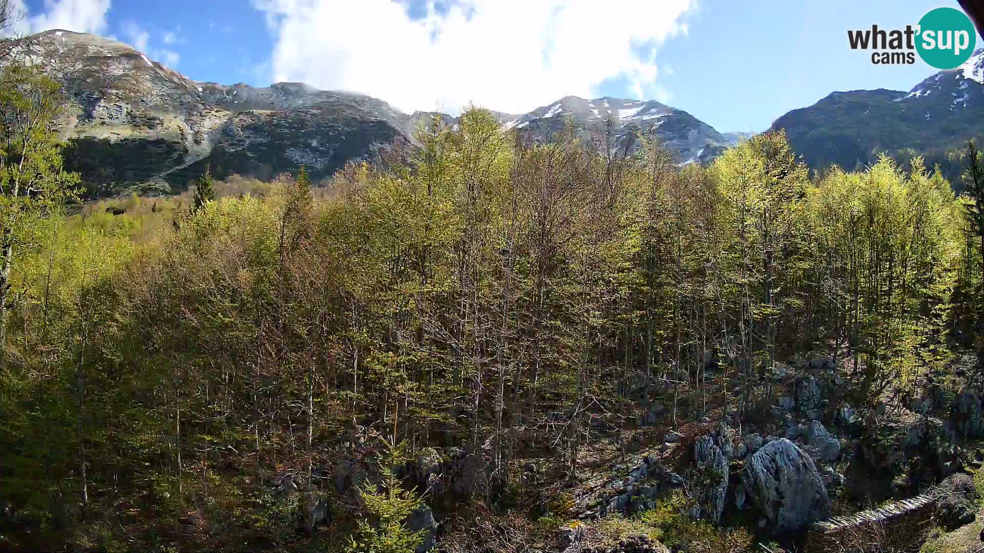 Webcam PLANINA RAZOR (1315) | Blick auf Vogel und Globoko