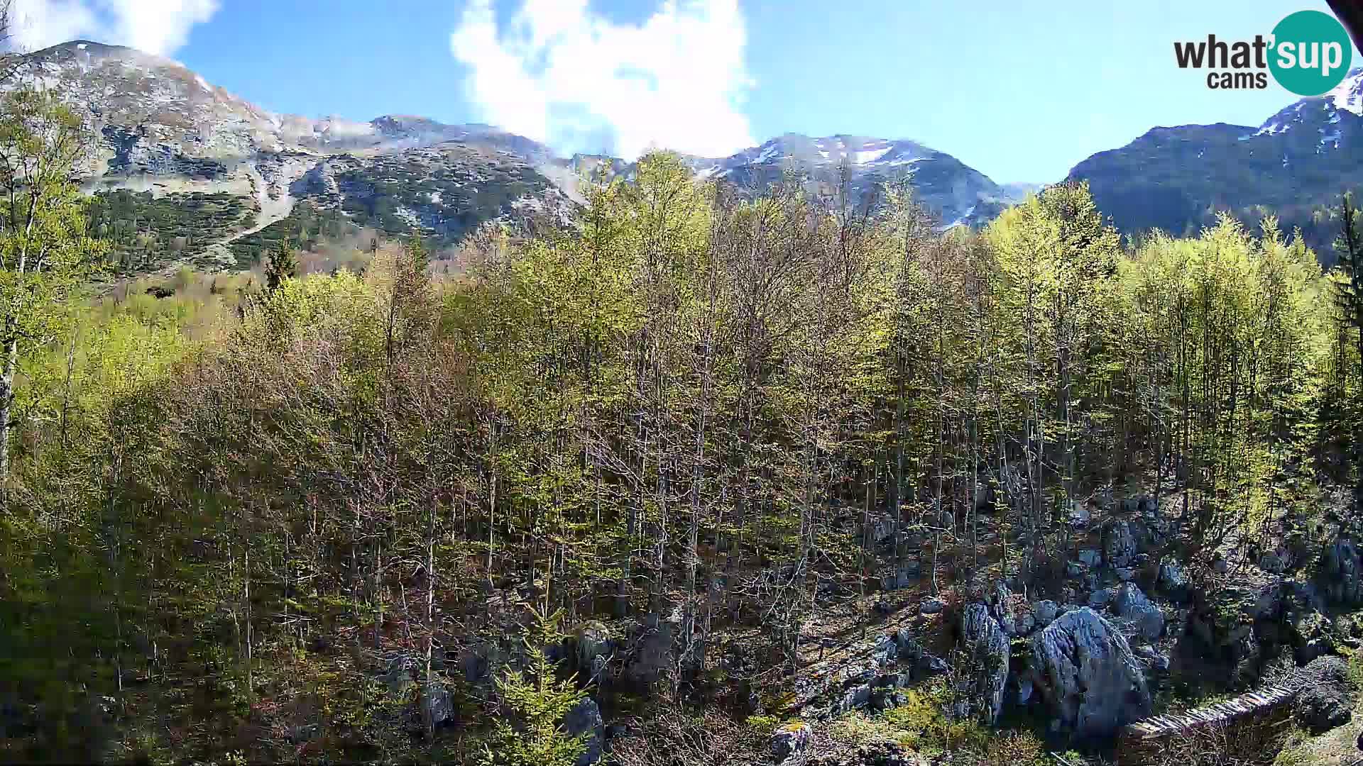 Webcam PLANINA RAZOR (1315) | Blick auf Vogel und Globoko