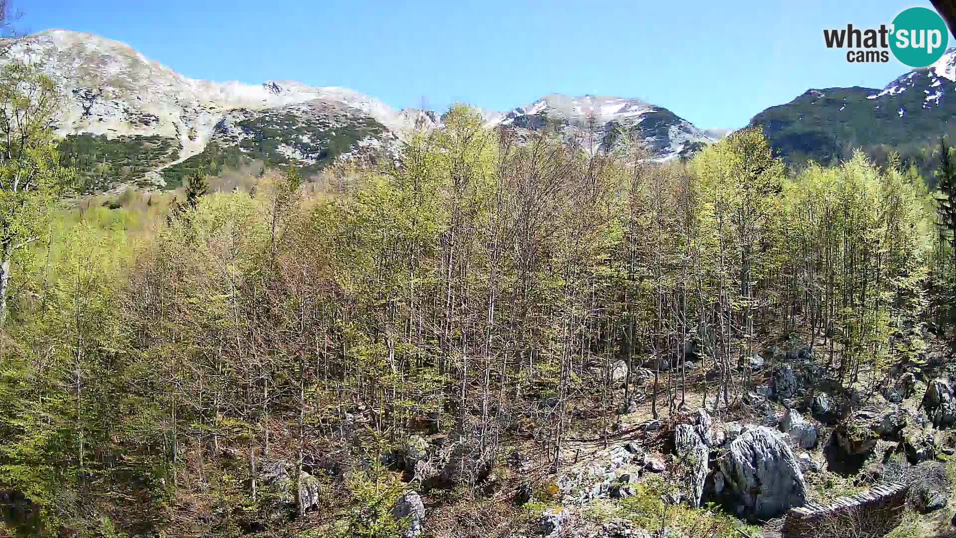 Webcam PLANINA RAZOR (1315) | Blick auf Vogel und Globoko