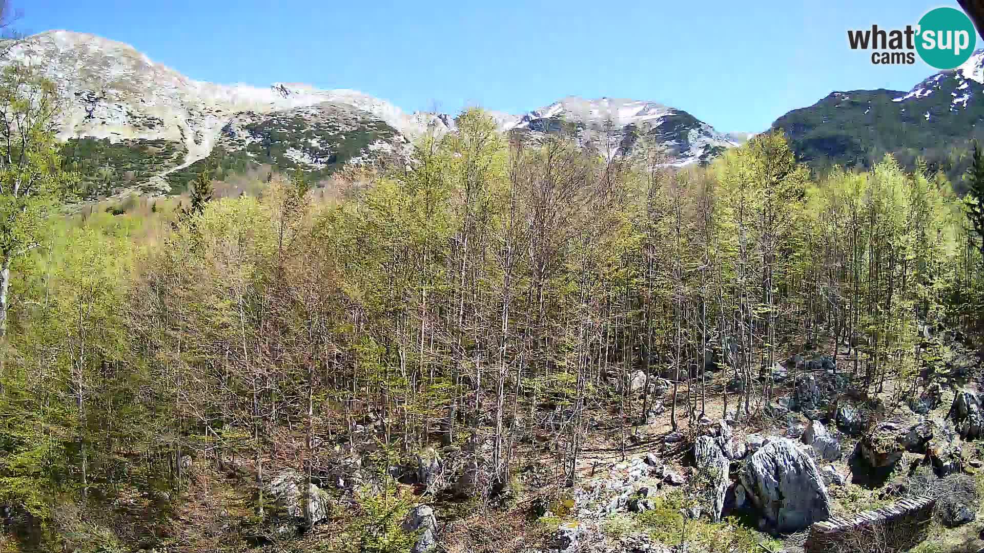 Webcam PLANINA RAZOR (1315) | Blick auf Vogel und Globoko