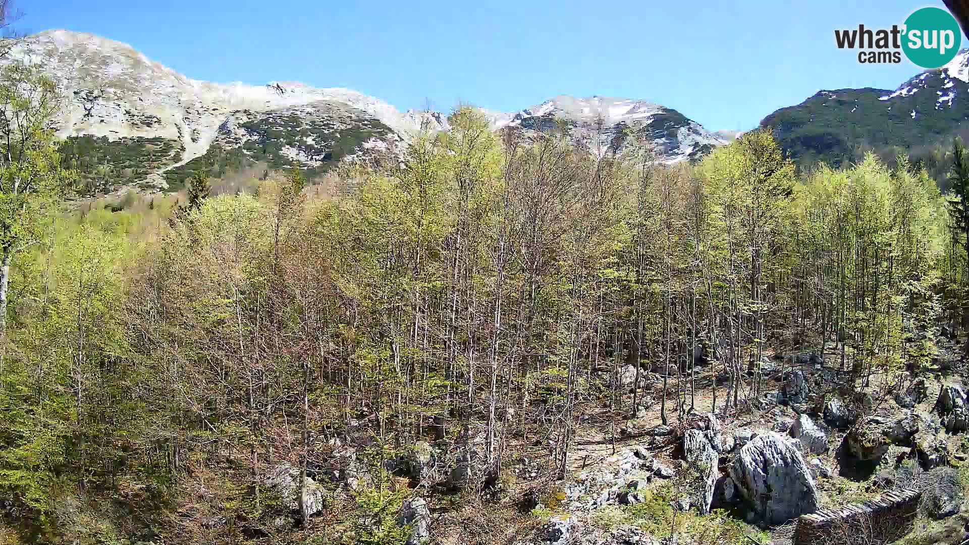 PLANINA RAZOR Live Cam (1315) | vista su Vogel e Globoko