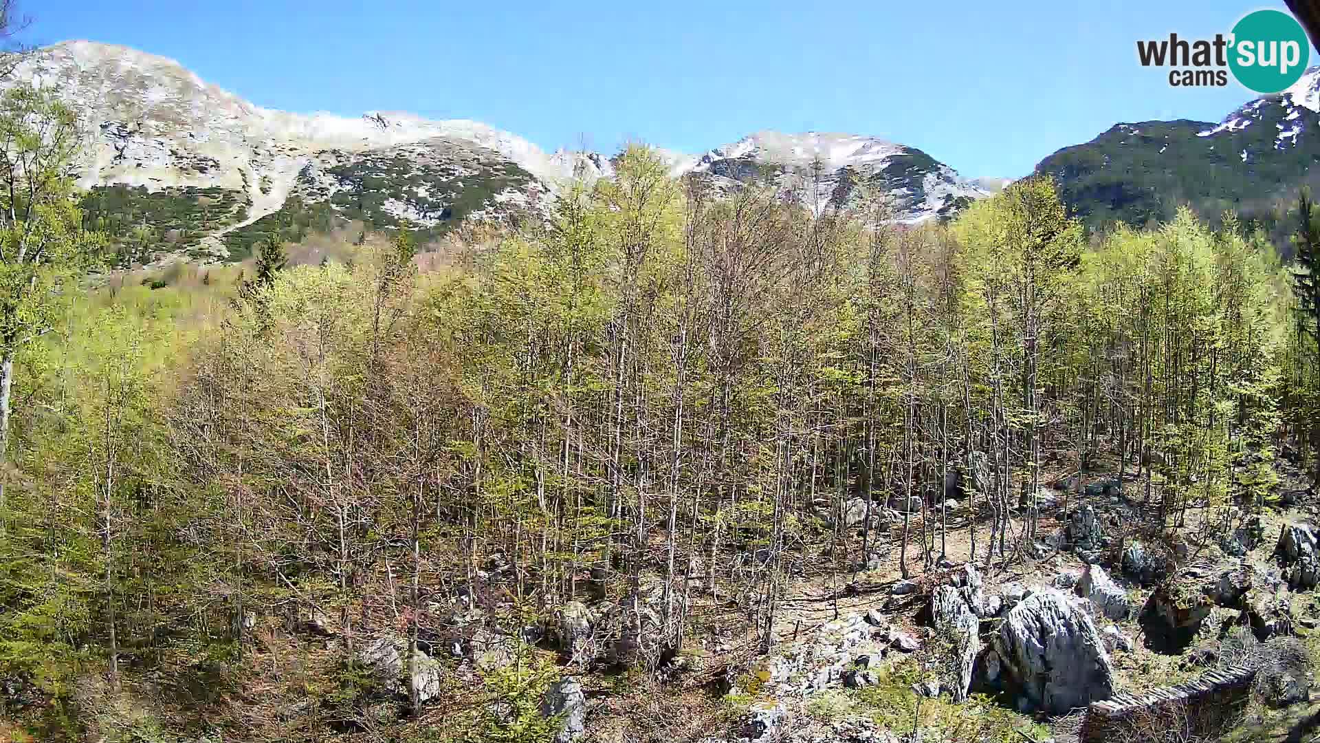 PLANINA RAZOR kamera (1315) | pogled na Vogel in Globoko